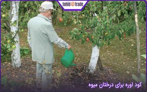 کود اوره برای درختان میوه